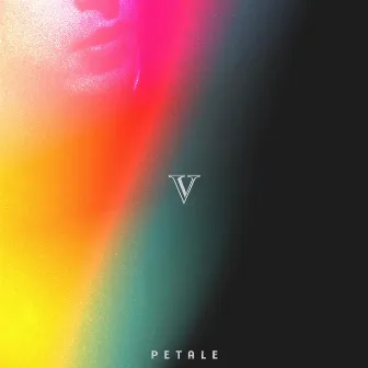 V by PETALE