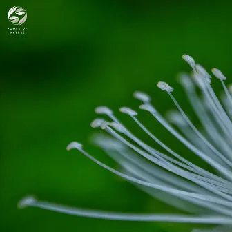 Gentle Downpour Ambient by 