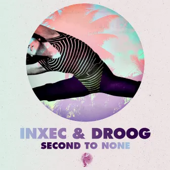 Second To None by Droog