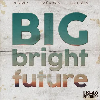 Big Bright Future (feat. Bavu Blakes & Eric Levels) by DJ brimLo