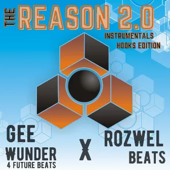 The Reason Instrumentals 2.0 (Hooks Edition) by 