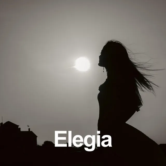 Elegia