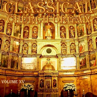 Classical Church Organ, Volume 15 by Jos Van Der Kooy