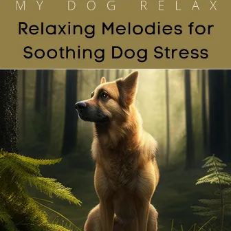 Relaxing Melodies for Soothing Dog Stress by My Dog Relax