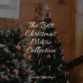 The Best Christmas Music Collection by Traditional Christmas Carols Ensemble