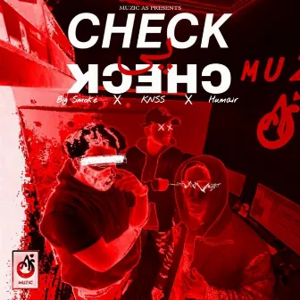 check pe check by Muzic AS