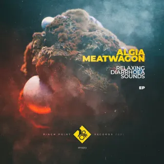 Relaxing Diarrhoea Sounds by Meatwagon