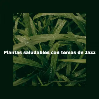 Plantas saludables con temas de Jazz by Chill Out Jazz Dream