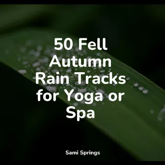 50 Fell Autumn Rain Tracks for Yoga or Spa by Sleep Sound Library