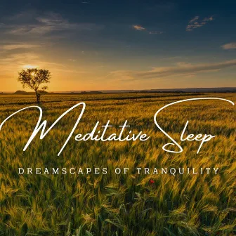 Dreamscapes of Tranquility: Meditative Sleep Music by 