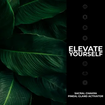 Elevate Yourself by Pineal Gland Activator