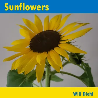 Sunflowers by Will Diehl