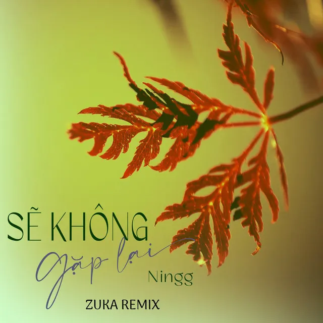 Sẽ Không Gặp Lại - Zuka Remix