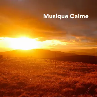 Musique Calme by Détente