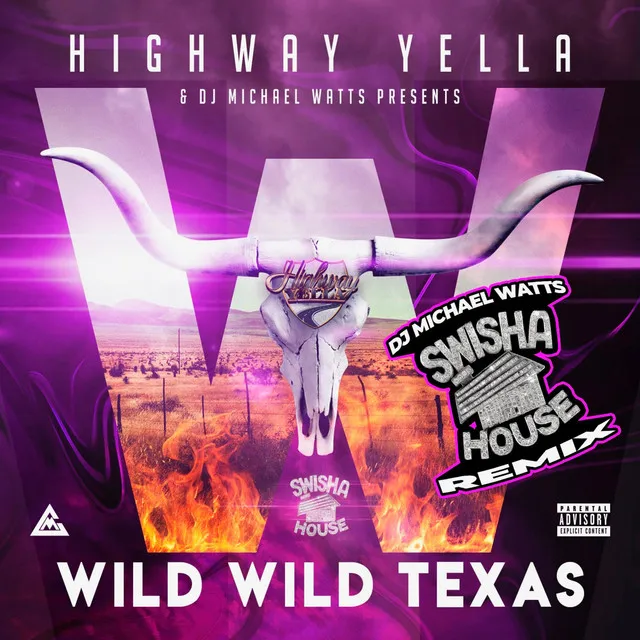 Wild Wild Texas - Swisha House Remix