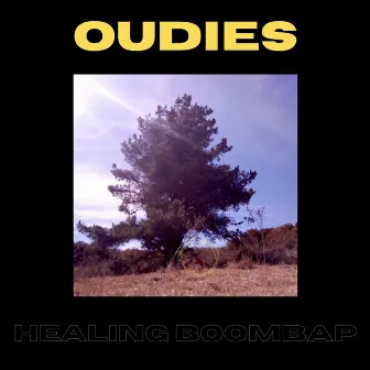 Healing Boom Bap by Oudies