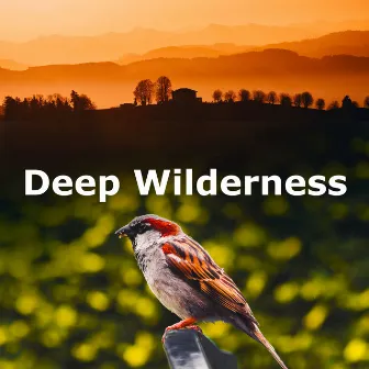 Deep Wilderness by Sound of the Wilderness