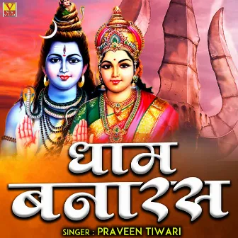 Dham Banaras (Hindi) by Praveen Tiwari