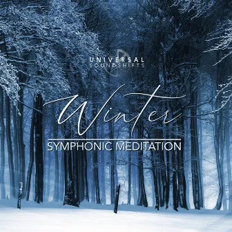 Winter Symphonic Meditation by UniversalSoundShifts