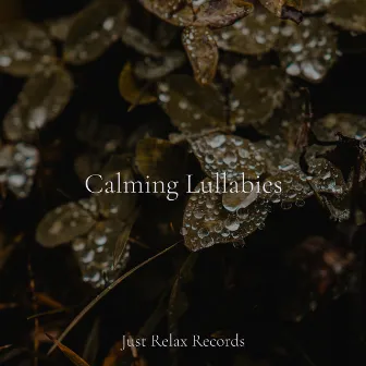 Calming Lullabies by Study Hard