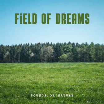 Sounds of Nature: Field of Dreams by Nature Lab