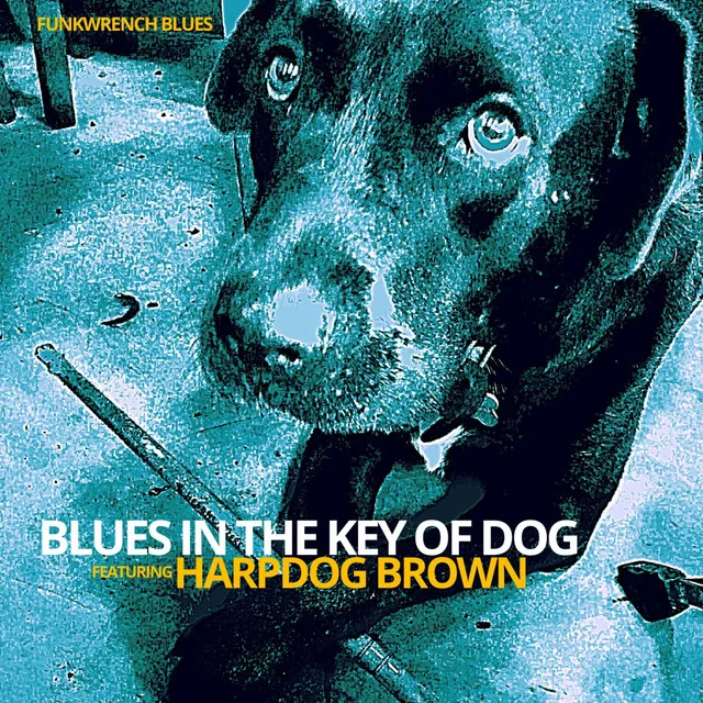 Blues In The Key Of Dog