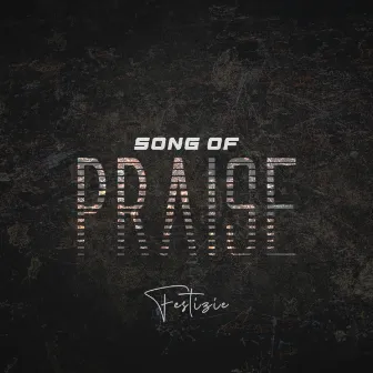 Song of Praise by Festizie