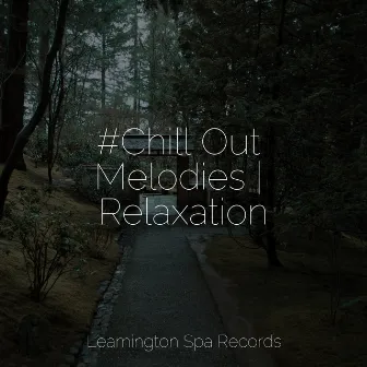 #Chill Out Melodies | Relaxation by Serenity Spa Music Relaxation