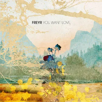 You Want Love by Freyr