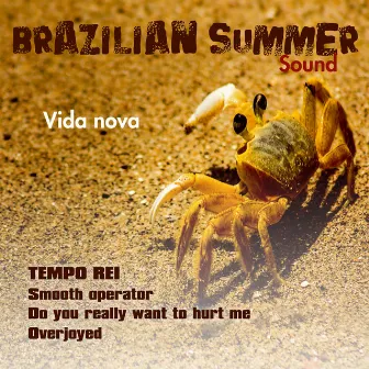 Vida Nova (Brazilian Summer Sound) by Tempo Rei