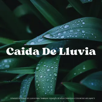 Sonidos De Caída De Lluvia Para Trabajar: Sonidos De Agua Tranquila Con Música Relajante by Don Lluvia