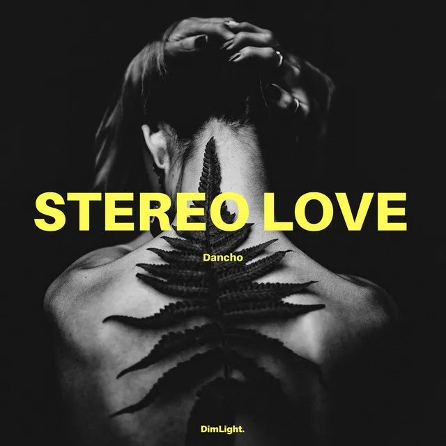 Stereo Love