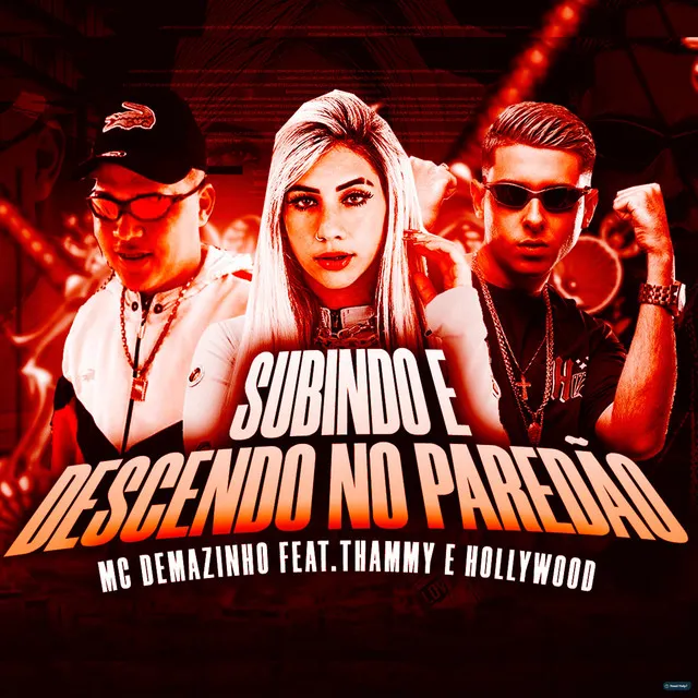 Subindo e Descendo no Paredão (feat. Thammy & MC Hollywood)