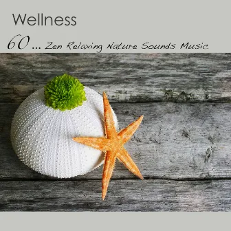 Wellness: 60 Zen Relaxing Nature Sounds Music for Pilates, Yoga, Reiki & Qi Gong, Flute & Piano Music for Peace and Calm by Meditation Relax Club