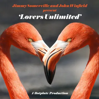 Lovers Unlimited by John Winfield