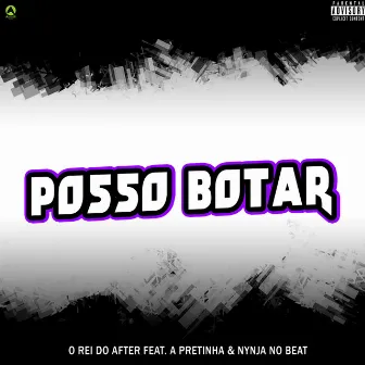 Posso Botar by O Rei Do After