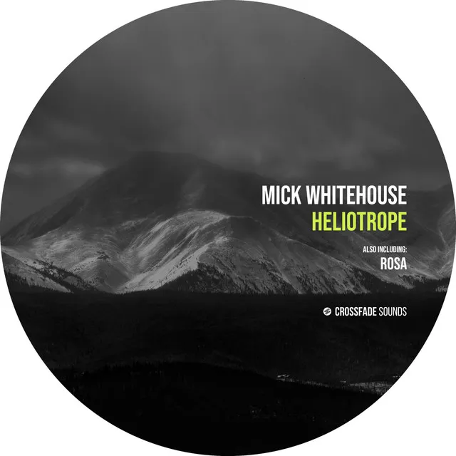 Heliotrope