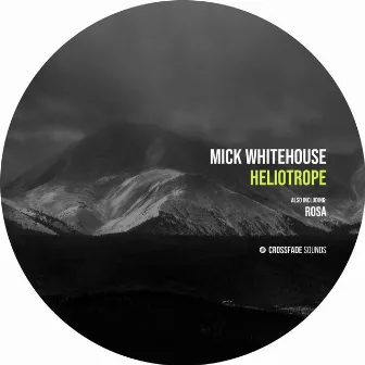 Heliotrope by Mick Whitehouse