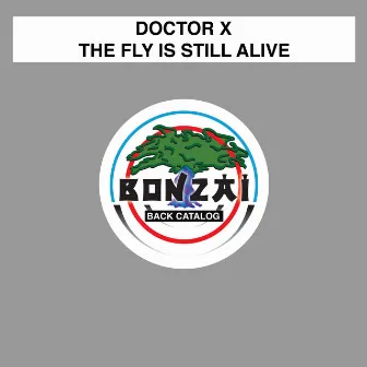 The Fly Is Still Alive by Doctor X