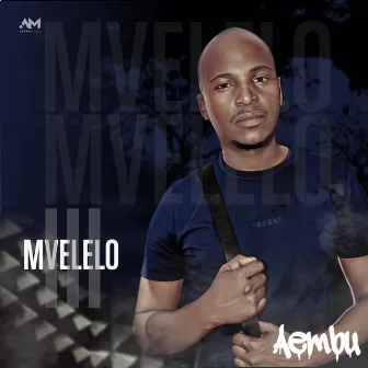 Mveleo lll by Aembu