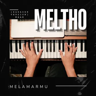 Melamarmu (Karaoke Male) by Meltho