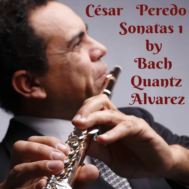 Sonate D Dur for Flute and Basso Continuo - (Live) - I Adagio