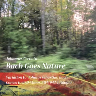 Bach Goes Nature, Variation to J.S.Bach, Concerto in D-Minor, BWV947: 2. Adagio by Johannes Cernota