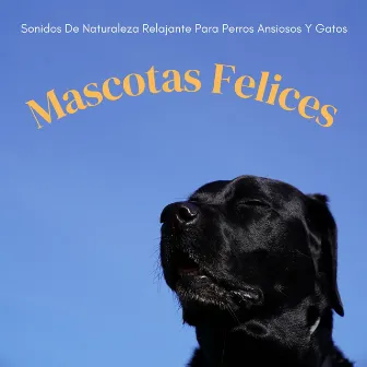 Mascotas Felices: Sonidos De Naturaleza Relajante Para Perros Ansiosos Y Gatos by 