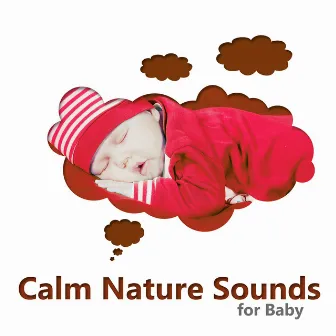 Calm Nature Sounds for Baby – Relaxation, Calm Your Baby Down, New Age, Pregnancy Music Perfect for a Mother and the Child by Soothing Baby Music Ensemble