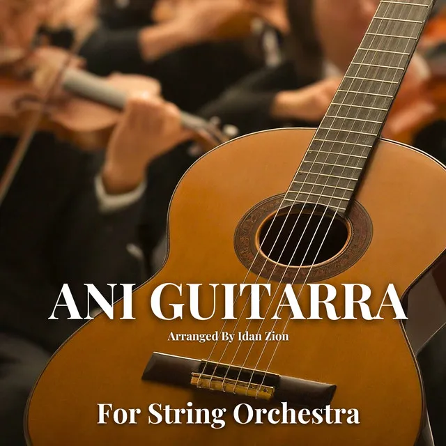 Ani Guitarra