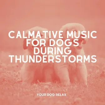 Calmative Music for Dogs During Thunderstorms: Gentle Tunes to Alleviate Stress and Foster Nerve Rehabilitation by Unknown Artist