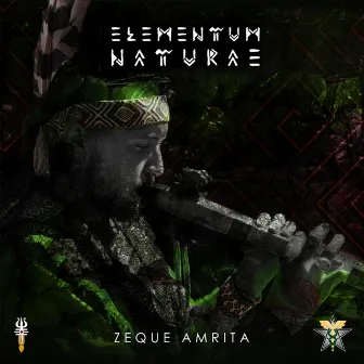 Elementum Naturae by Zeque Amrita