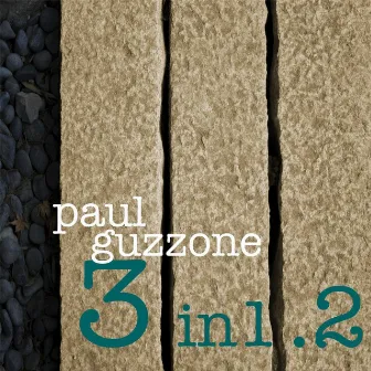 3 in 1.2 by Paul Guzzone