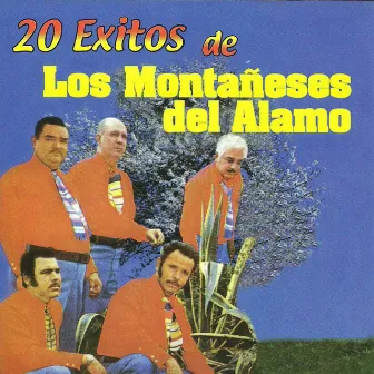 20 Exitos de los Montañeses del Alamo by Los Montaneses Del Alamo